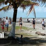 Empresarios impulsan el turismo en Bluefields y están listos para atender a turistas nacionales y extranjeros Foto: Turismo en Bluefields crece con playas y gastronomía en El Bluff/TN8