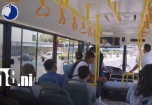 Foto: ¡De "chóferes" a profesionales! La transformación integral de los conductores en Nicaragua/TN8