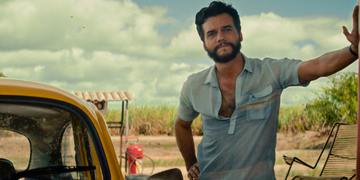 Foto: Estas son las películas nominadas al Oscar que ya puedes ver/Cortesía