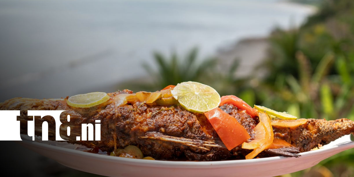 Foto: Verano 2026 en Bilwi: mariscos y diversión/ TN8