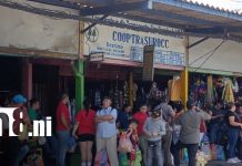 Foto: Vacaciones de Semana Santa desde Israel Lewites/ TN8