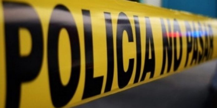 Foto: Golpe al narcotráfico en León /cortesía Foto: Golpe al narcotráfico en León /cortesía