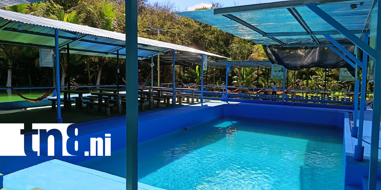 Foto: Vacaciones perfectas: salud y diversión en Aguas Termales /TN8