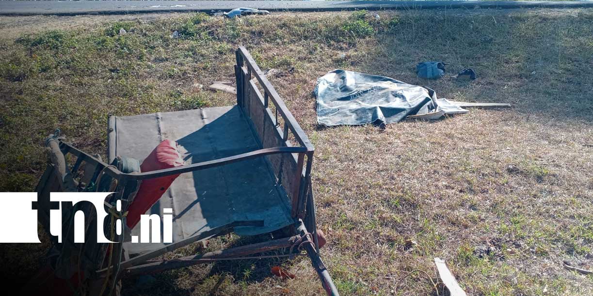 Foto: Muere Domingo Guerrero tras impacto entre camioneta y carretón en Nandaime/ TN8