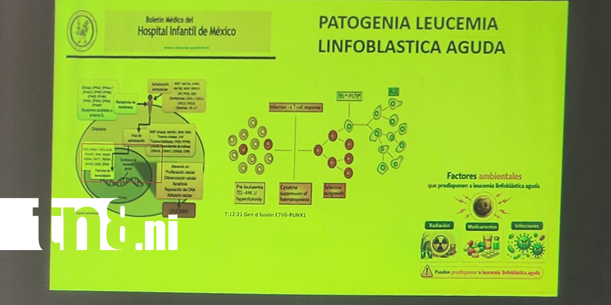 Foto: Simposio en La Mascota destaca innovación y cuidado integral en pacientes con cáncer /TN8