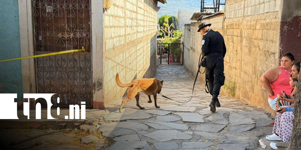 Foto: Mujer de 52 años asesinada en su hogar en Granada/TN8