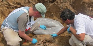 Foto: 12 desaparecidos en Argentina/Cortesía