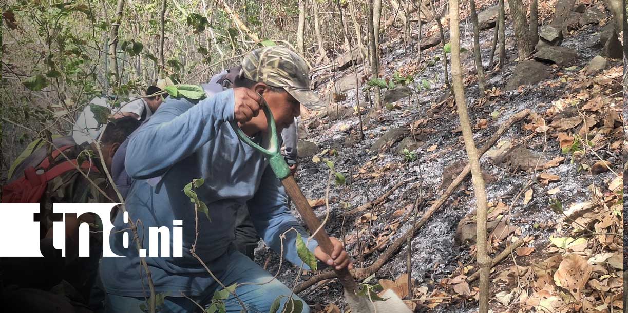 Foto:severo impacto ambiental en Laguna de Apoyo/Cortesía