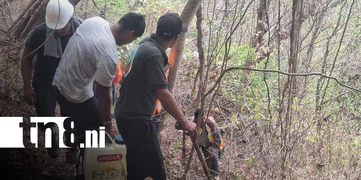 Foto:severo impacto ambiental en Laguna de Apoyo/Cortesía