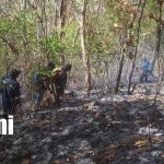 Foto:severo impacto ambiental en Laguna de Apoyo/Cortesía
