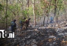 Foto:severo impacto ambiental en Laguna de Apoyo/Cortesía