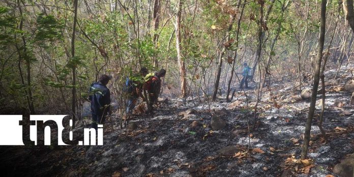 Foto:severo impacto ambiental en Laguna de Apoyo/Cortesía