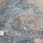 Foto: Familias piden reparar manjoles y tubería dañada en Américas II /TN8