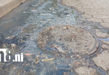 Foto: Familias piden reparar manjoles y tubería dañada en Américas II /TN8