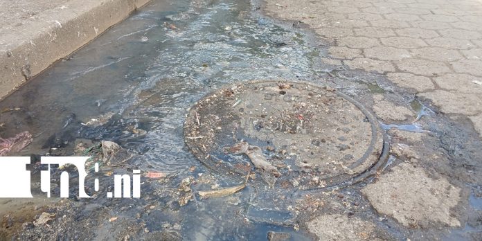 Foto: Familias piden reparar manjoles y tubería dañada en Américas II /TN8