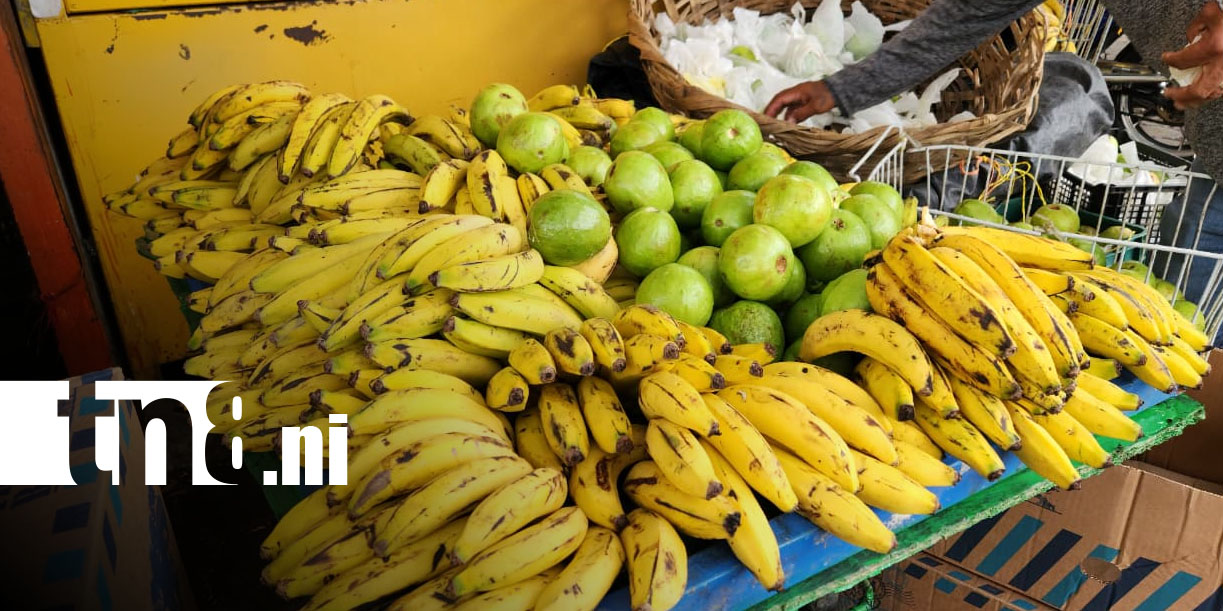 Foto: Frutas de temporada a precios bajos/TN8