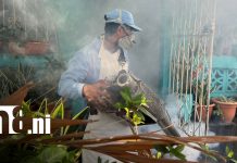 Foto: Fumigación y abatización por Managua / TN8