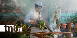 Foto: Fumigación y abatización por Managua / TN8