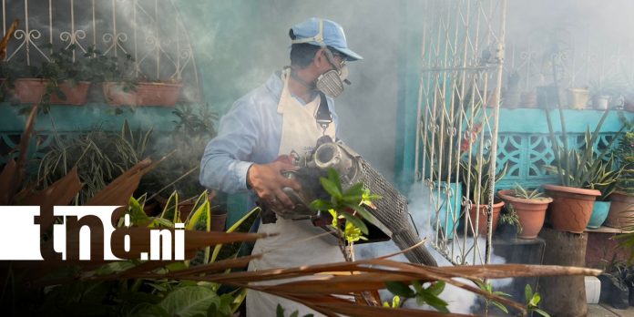 Foto: Fumigación y abatización por Managua / TN8 Foto: Fumigación y abatización por Managua / TN8