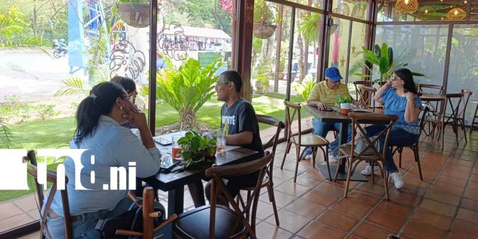 Foto: Gastronomía y entretenimiento en Managua/TN8