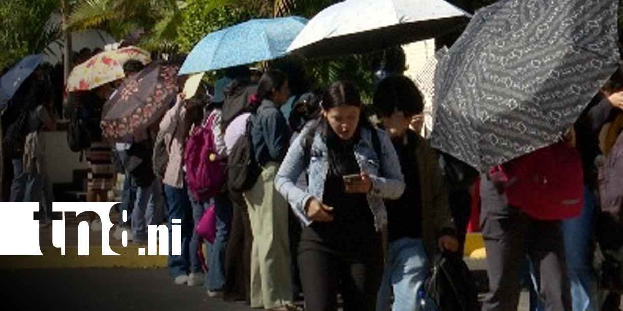 Foto: Solicitudes de becas de las Universidades Pueblo Presidente en Nicaragua / TN8