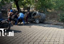 Detienen a hombre por maltrato animal en Chinandega ¡Imágenes impactantes! Foto: Maltrato animal en Chinandega / TN8