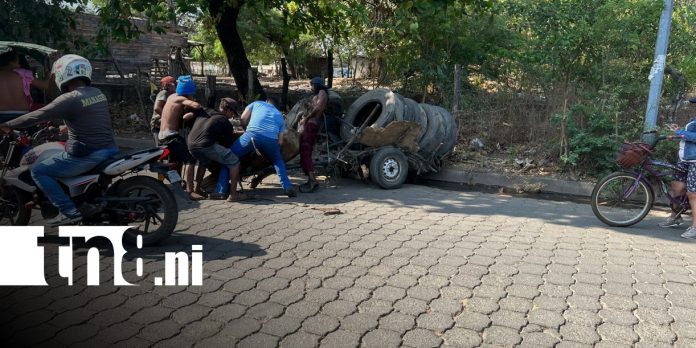 Foto: Maltrato animal en Chinandega / TN8