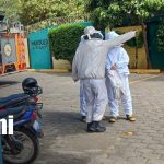 12 personas afectadas por ataque de abejas «africanizadas» en Managua Foto: Ataque de abejas en Managua / TN8