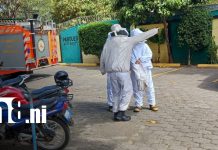 12 personas afectadas por ataque de abejas «africanizadas» en Managua Foto: Ataque de abejas en Managua / TN8