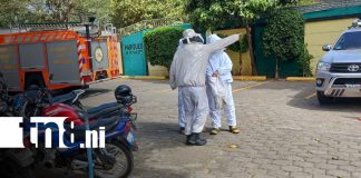 Foto: Ataque de abejas en Managua / TN8