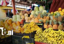 Foto: Frutas de temporada a precios bajos/TN8