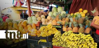 Foto: Frutas de temporada a precios bajos/TN8
