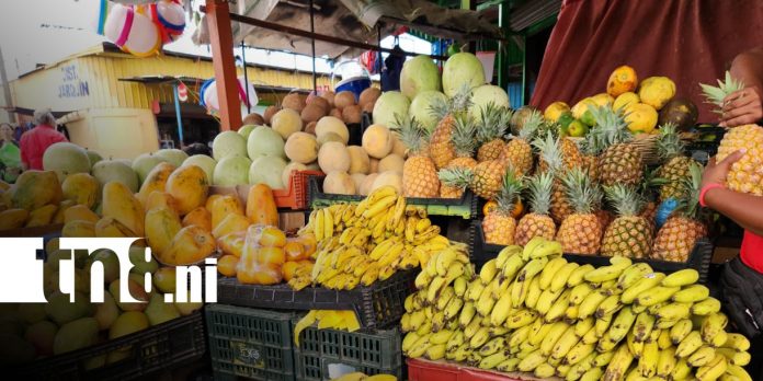 Foto: Frutas de temporada a precios bajos/TN8