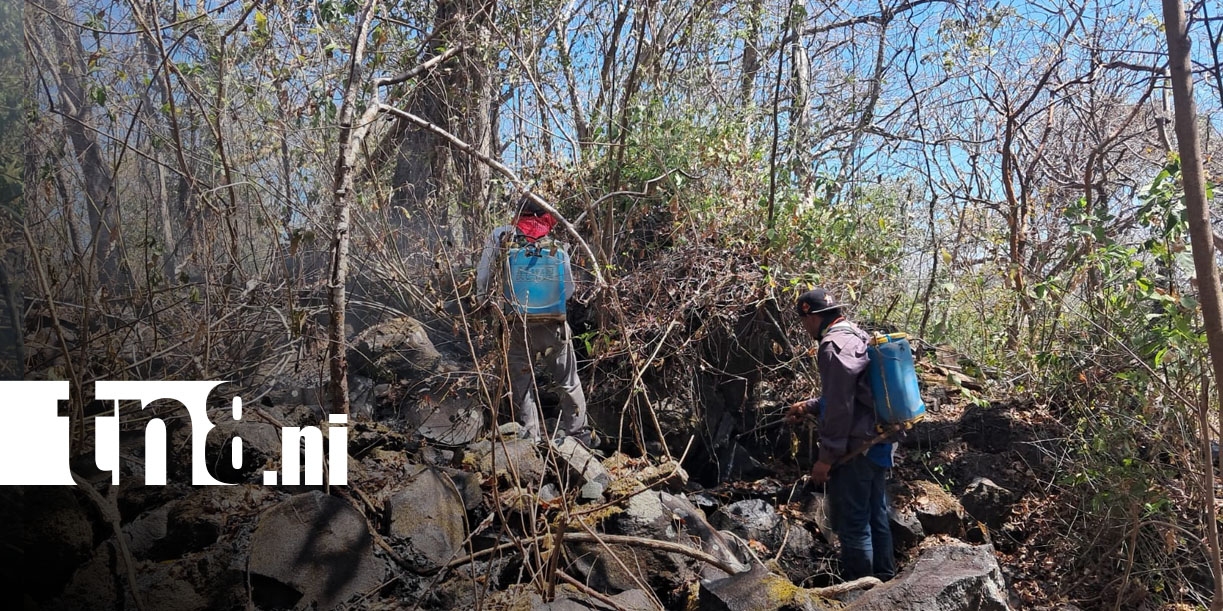 Foto:Ometepe enfrenta incendio forestal/TN8