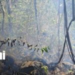 Foto:Ometepe enfrenta incendio forestal/TN8