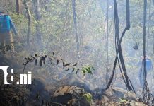 Incendio en Los Gemelos moviliza a vecinos y autoridades de la Isla de Ometepe Foto:Ometepe enfrenta incendio forestal/TN8