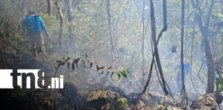 Foto:Ometepe enfrenta incendio forestal/TN8