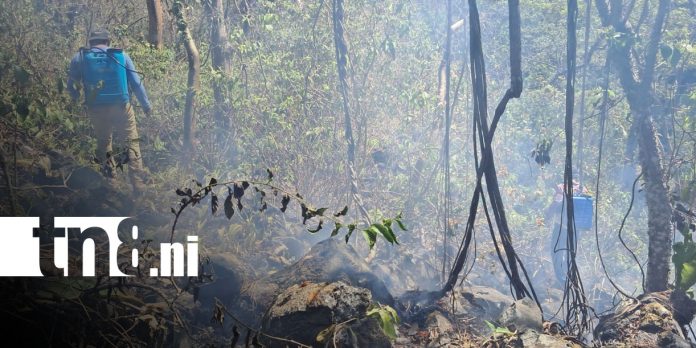 Foto:Ometepe enfrenta incendio forestal/TN8