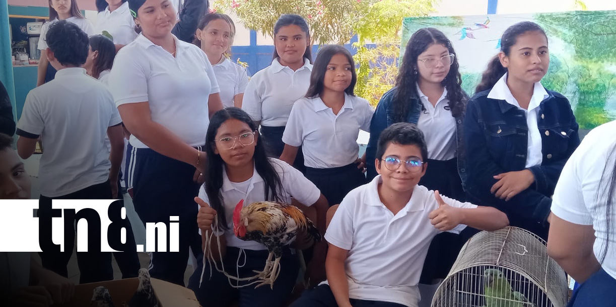 Foto: Feria de Ciencia en colegios de Nicaragua / TN8