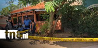 Foto: Mujer de 52 años asesinada en su hogar en Granada/TN8