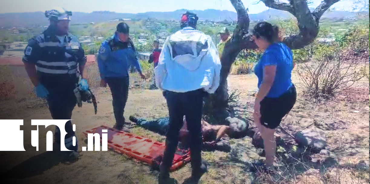Foto: Hombre colapsa tras ser atacado por abejas en Estelí/ Cortesía 