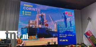 Foto: Más de 400 vehículos ingresan a Nicaragua /TN8