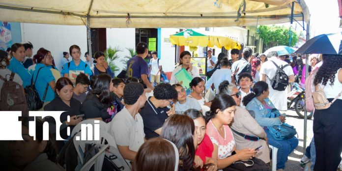 Foto: Becas para estudiantes universitarios de León / TN8 Foto: Becas para estudiantes universitarios de León / TN8