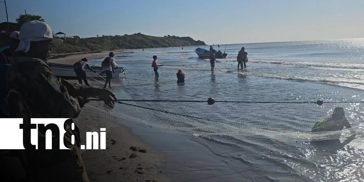 Foto: Pesca de camarón en BIlwi, Caribe NOrte / TN8