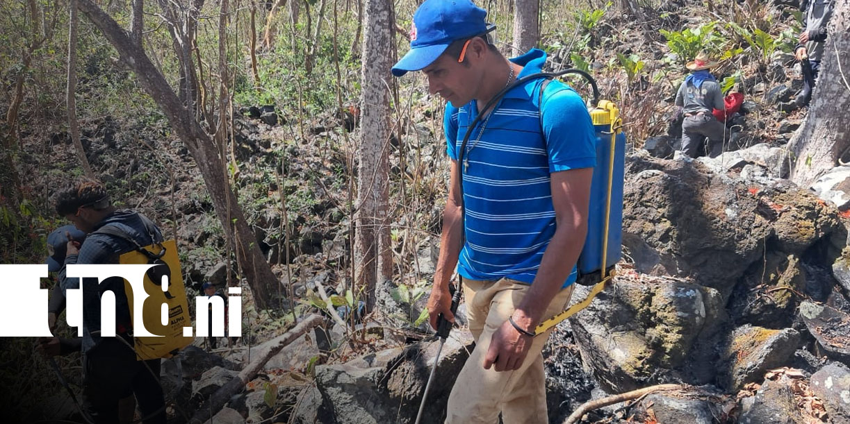 Foto:Ometepe enfrenta incendio forestal/TN8