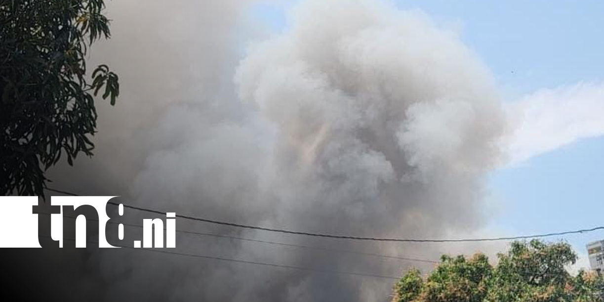 Foto: Incendio en La Chureca, nuevamente / TN8