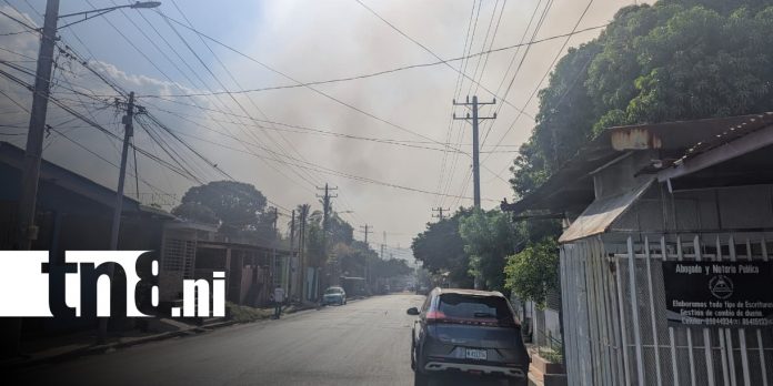 Foto: Incendio en La Chureca, nuevamente / TN8