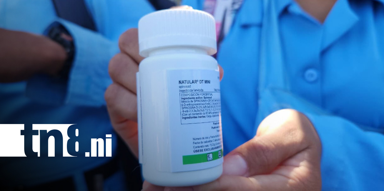 Foto: Pastillas para enfrentar los zancudos, método del MINSA Managua / TN8