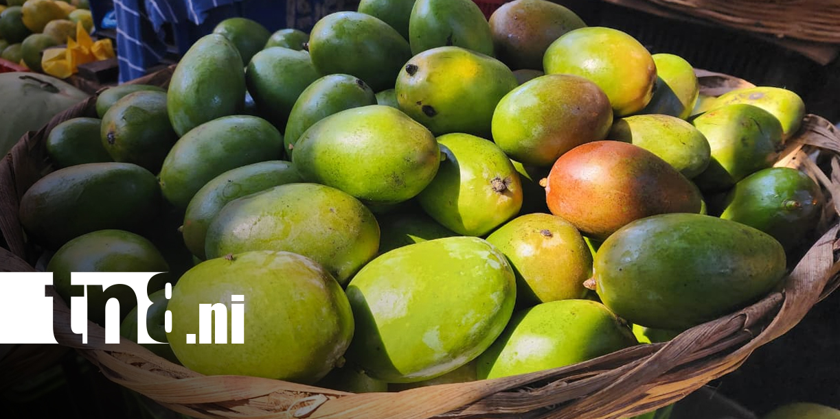 Foto: Ventas de frutas aumentan en el mercado Roberto Huembes/TN8