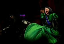 Foto: Lady Gaga cancela show en Montreal por enfermedad/ Cortesía